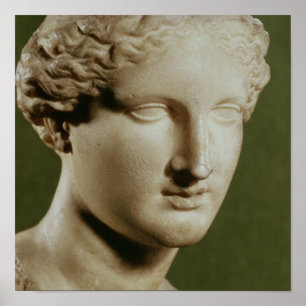 Poster Cabeça de Artemis
