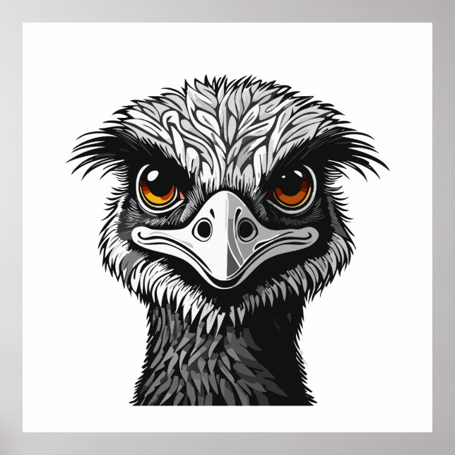 Poster Cabeça de ave Emu (Frente)