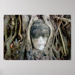 Póster Cabeça de Buddha