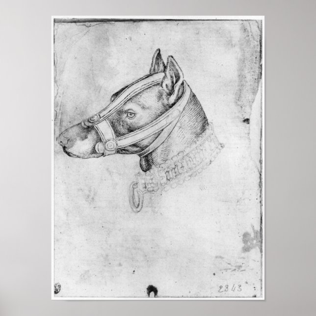 Póster Cabeça de cão abafado (Frente)