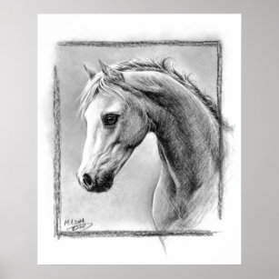 Quadro Decorativo Cabeca De Cavalo Desenho 7201