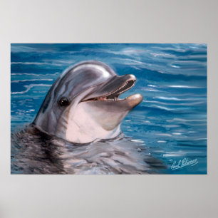 PÓSTER CABEÇA DE DOLPHIN