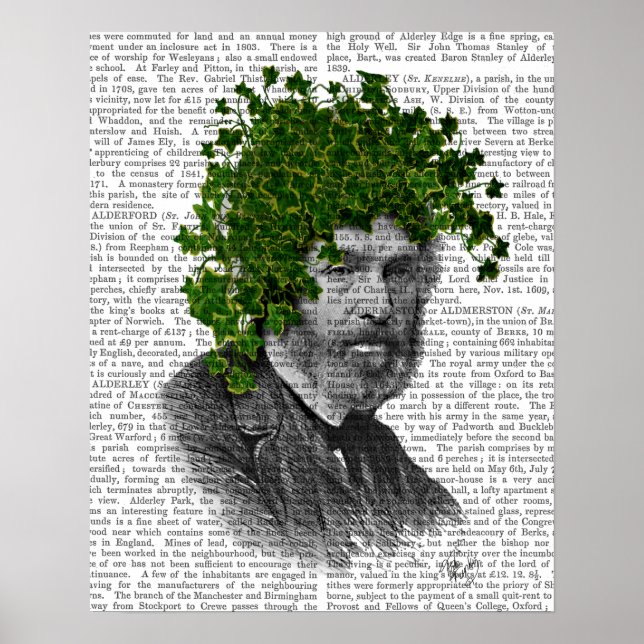 Póster Cabeça de Ivy Head Plant (Frente)