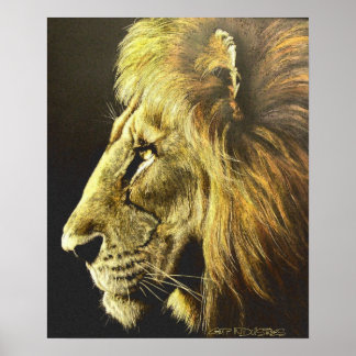 Poster Cabeça de Leão