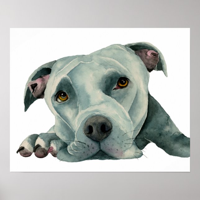 Póster Cabeça de Ol Grande | Pit Bull Dog Watercolor Pais (Frente)