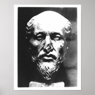 Poster Cabeça de Plotinus