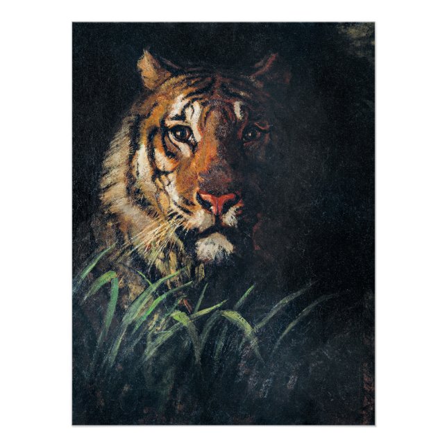 Póster Cabeça de Tiger, pintura de arte, (Frente)