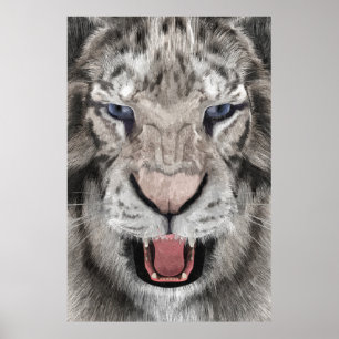 Poster Cabeça de Tigre Branco Estética da Vida Selvagem