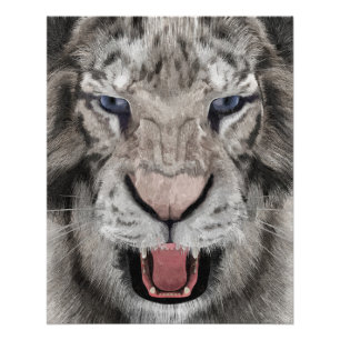 Póster Cabeça de Tigre Branco Estética da Vida Selvagem