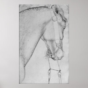 Poster Cabeça de um cavalo, o do álbum de Vallardi