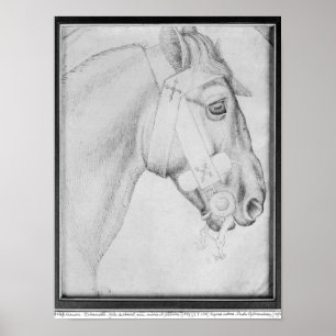 Póster Cabeça de um cavalo, o do álbum de Vallardi
