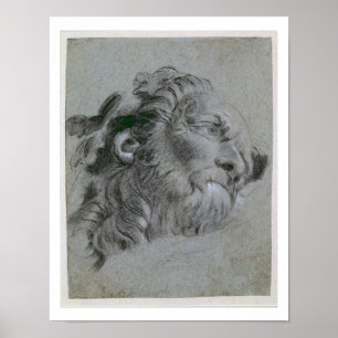 Póster Cabeça de um Rio-Deus, c.1751 (heightene preto do