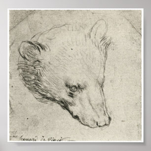 Póster Cabeça de um urso, Leonardo da Vinci