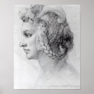 Póster Cabeça ideal de uma mulher, c.1525-28