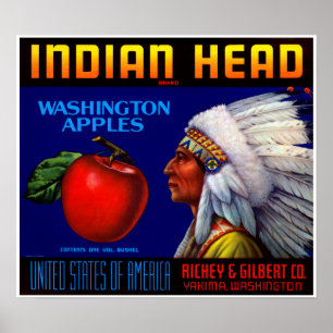 Póster Cabeça indiana