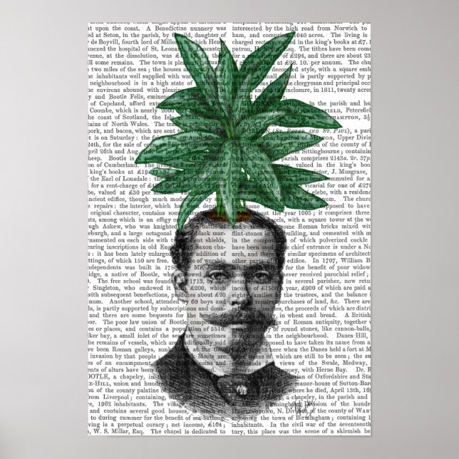 Póster Cabeça Verde Chinesa (Frente)