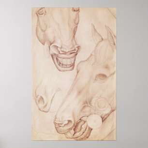 Póster Cabeças dos cavalos, do álbum de Vallardi