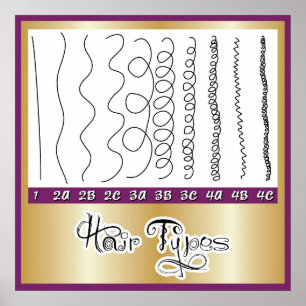 Poster Cabelo Types1