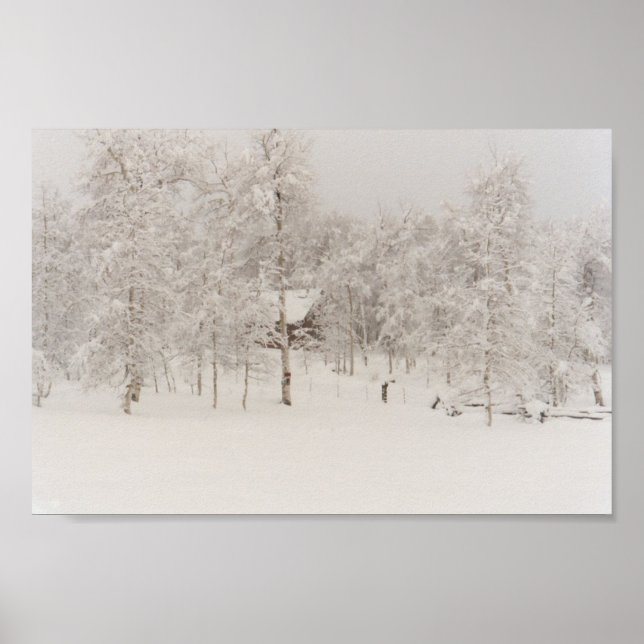 Póster Cabina de inverno (Frente)