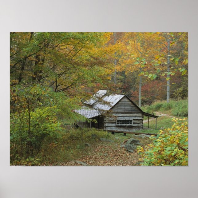 Póster Cabine de Log Antigo (Frente)