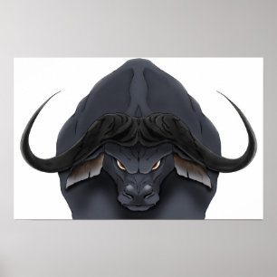 Póster Cabo Bull da AE