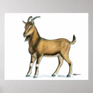 Poster Cabra:  Brown