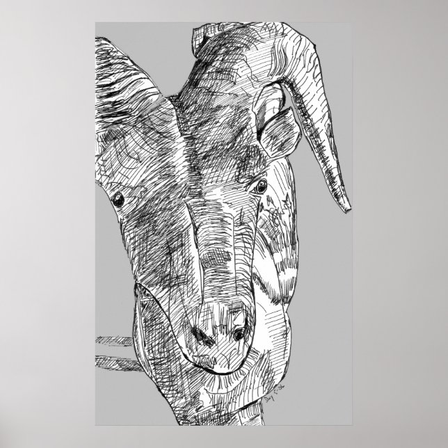 Póster Cabra de montanha (Frente)