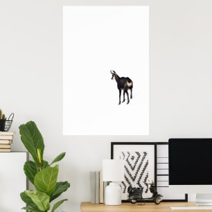 Poster Cabra de montanha de Chamois alpina minimalista na
