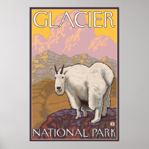 Póster Cabra de montanha - parque nacional de geleira, TA