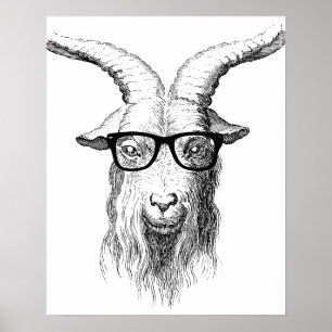 Póster Cabra do hipster