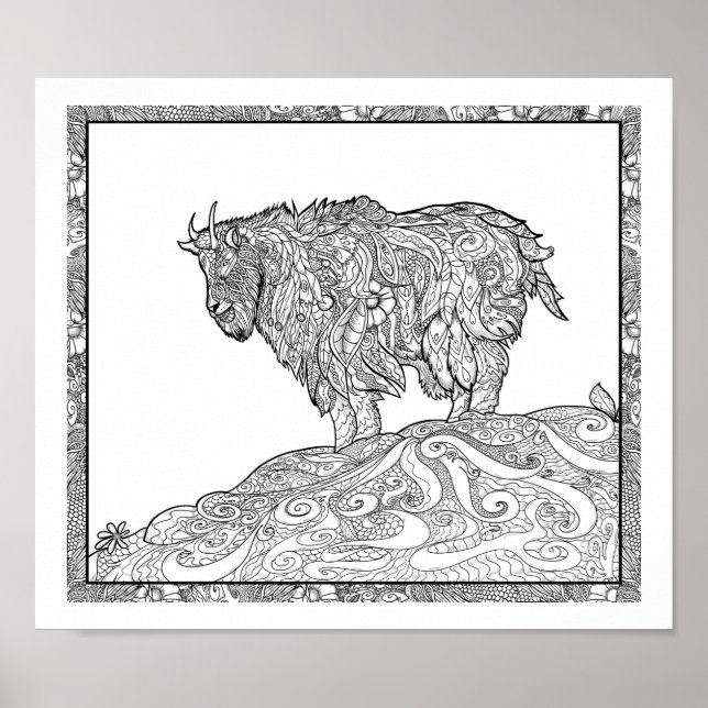 Poster Cabra montanhosa do Alasca (Frente)