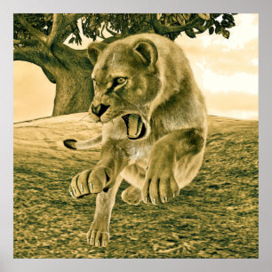 Póster Caça à ionidade