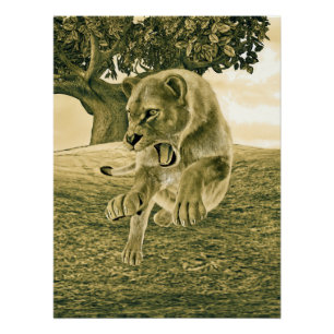 Póster Caça à ionidade