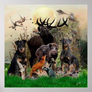 Poster Caça alemã Terrier (Jagdterrier)