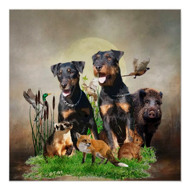 Póster Caça alemã Terrier (Jagdterrier) (Frente)