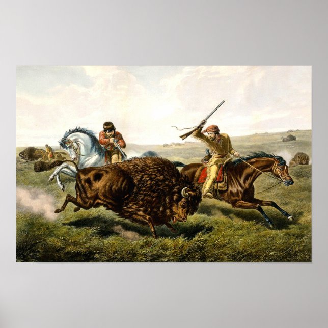 Poster Caça ao Búfalo nos EUA (Frente)