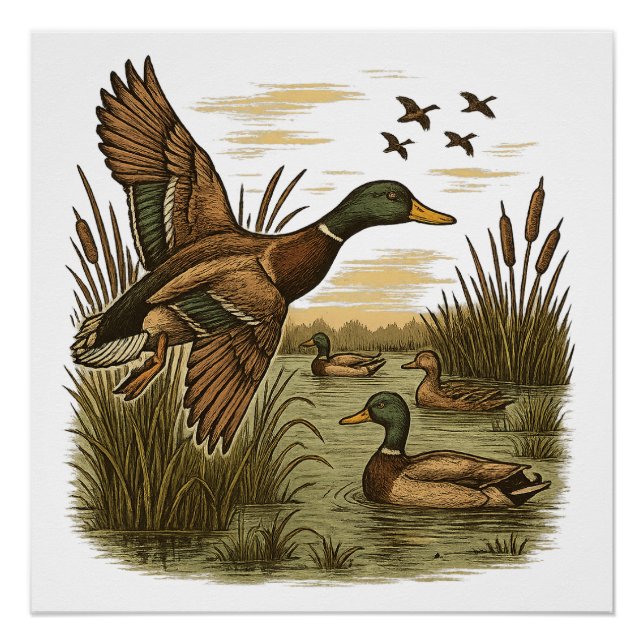 Póster Caça ao Pato-Marrecão-Retro (Frente)