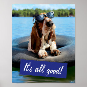 Poster Caça-Basset Em Óculos De Sol