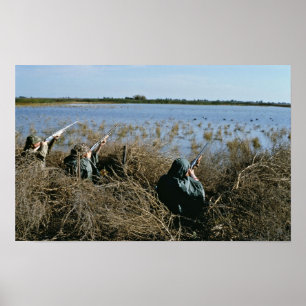 Poster Caça das aves aquáticas