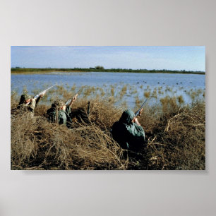 Póster Caça das aves aquáticas