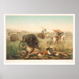 Póster Caça do bisonte (0008A)