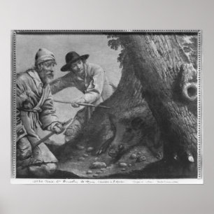 Póster Caça do varrão