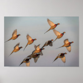 Poster Caçador de recompensas da época de início de caça