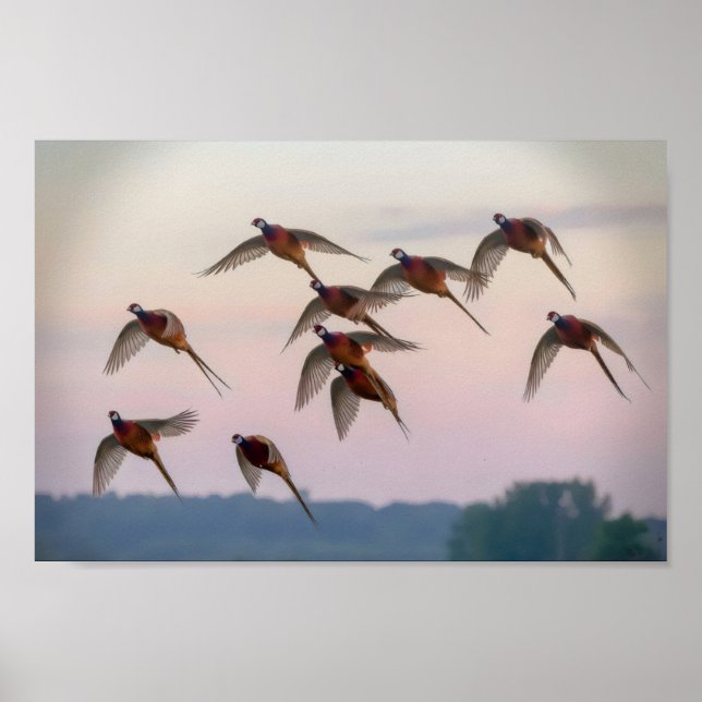 Poster Caçador de recompensas da época de início de caça (Frente)