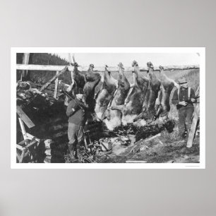 Póster Caçadores Alaska 1928 do caribu