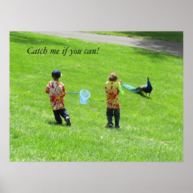 Poster - Caçadores de Peacock (Frente)