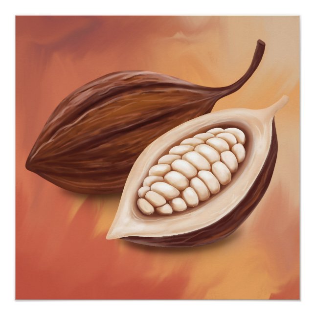 Póster Cacao Pod (Frente)