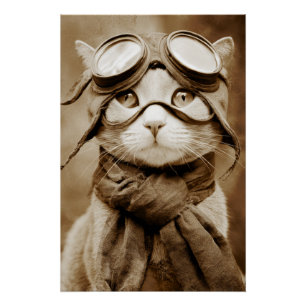 Póster Cachecol de Gato com Óculos Vintage Estampa Retro