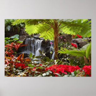 Póster Cachoeira