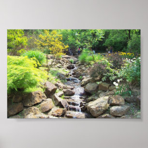 Póster Cachoeira